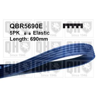 Courroie trapézoïdale à nervures QUINTON HAZELL QBR5690E pour FORD RANGER 1.6 Ti - 110cv