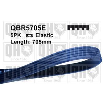 Courroie trapézoïdale à nervures QUINTON HAZELL OEM 3M5Q6C301CB