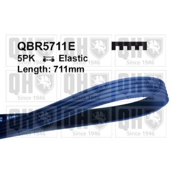 Courroie trapézoïdale à nervures QUINTON HAZELL [QBR5711E]