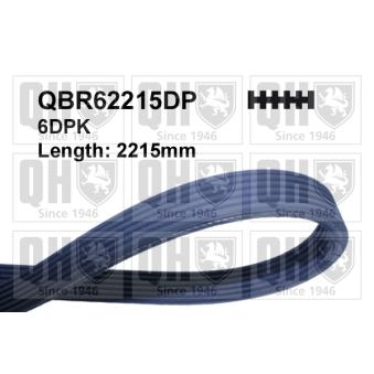 Courroie trapézoïdale à nervures QUINTON HAZELL QBR62215DP pour TOYOTA AURIS 214 CDI - 143cv Courroie trapézoïdale à nervures QUINTON HAZELL QBR62215DP pour TOYOTA AURIS 214 CDI - 143cv