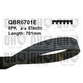 Courroie trapézoïdale à nervures QUINTON HAZELL QBR6701E pour LANCIA DELTA 1.6 - 110cv