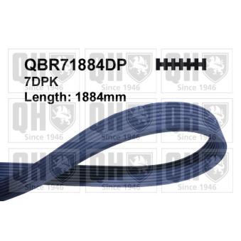 Courroie trapézoïdale à nervures QUINTON HAZELL QBR71884DP pour BMW Série 7 740 d - 306cv