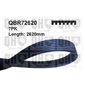 Courroie trapézoïdale à nervures QUINTON HAZELL QBR72620 pour AUDI A8 4.2 quattro - 335cv