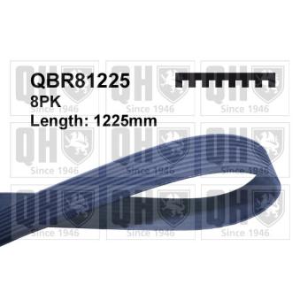 Courroie trapézoïdale à nervures QUINTON HAZELL QBR81225 pour FORD SIERRA 2.0 CD - 110cv