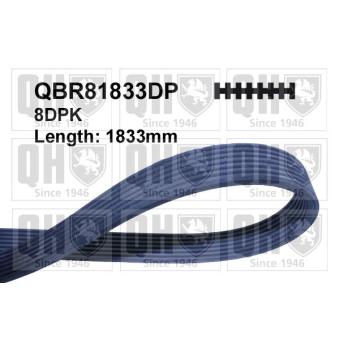 Courroie trapézoïdale à nervures QUINTON HAZELL QBR81833DP pour BMW Série 7 740 i - 326cv