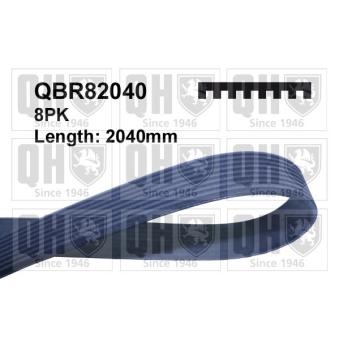 Courroie trapézoïdale à nervures QUINTON HAZELL [QBR82040]