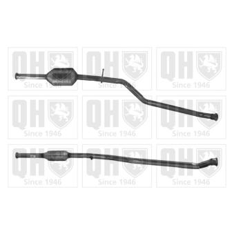 Catalyseur QUINTON HAZELL OEM 1731Y1