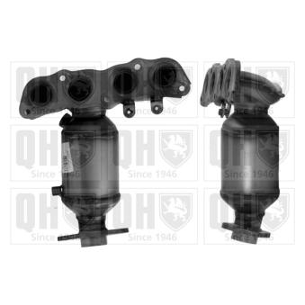 Catalyseur QUINTON HAZELL OEM 250510J010