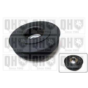 Poulie, vilebrequin QUINTON HAZELL OEM 8200523068
