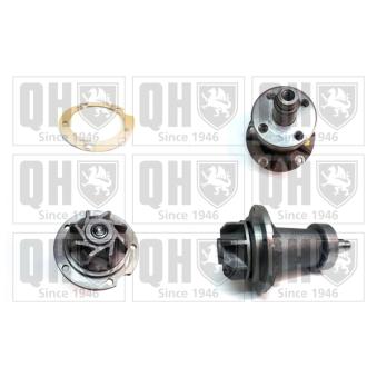 Pompe à eau QUINTON HAZELL OEM 1102001120