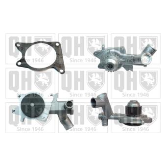 Pompe à eau QUINTON HAZELL QCP2304 pour CUPRA LEON 1.6 - 79cv