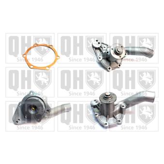 Pompe à eau QUINTON HAZELL OEM gwp164