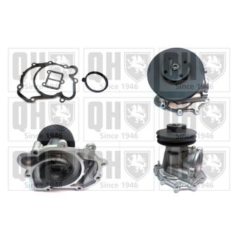 Pompe à eau QUINTON HAZELL OEM 1172001001
