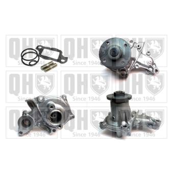 Pompe à eau QUINTON HAZELL OEM 1611019047