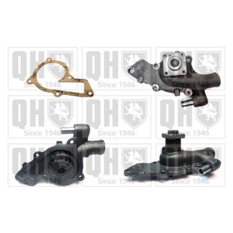 Pompe à eau QUINTON HAZELL OEM 1053054