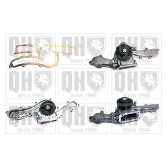 Pompe à eau QUINTON HAZELL [QCP2905]