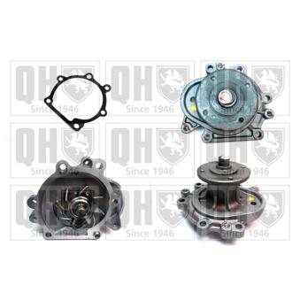 Pompe à eau QUINTON HAZELL OEM 1610059126