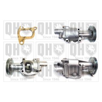 Pompe à eau QUINTON HAZELL QCP2986 pour CITROEN XM 0.8 - 34cv
