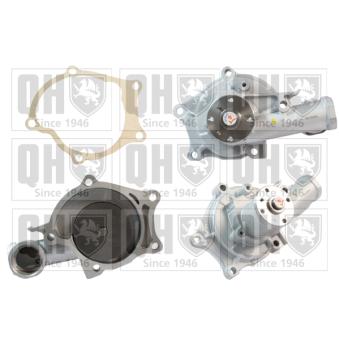 Pompe à eau QUINTON HAZELL OEM 1610079225 Pompe à eau QUINTON HAZELL OEM 1610079225