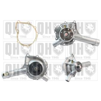 Pompe à eau QUINTON HAZELL OEM 1612003501 Pompe à eau QUINTON HAZELL OEM 1612003501