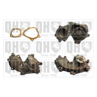 Pompe à eau QUINTON HAZELL QCP3113 pour FIAT PUNTO 1.7 TD - 71cv