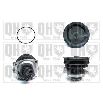 Pompe à eau QUINTON HAZELL QCP3114 pour LANCIA DELTA 1.6 i - 75cv