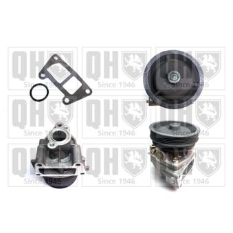 Pompe à eau QUINTON HAZELL QCP3114BH pour IVECO DAILY 1.6 i - 78cv
