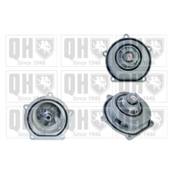 Pompe à eau QUINTON HAZELL QCP3125 pour MG MG 260 - 260cv