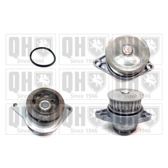 Pompe à eau QUINTON HAZELL OEM 030121005T