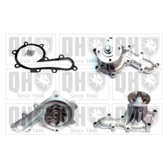 Pompe à eau QUINTON HAZELL OEM 1610019235 Pompe à eau QUINTON HAZELL OEM 1610019235
