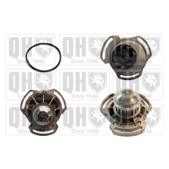 Pompe à eau QUINTON HAZELL OEM 031121004AX