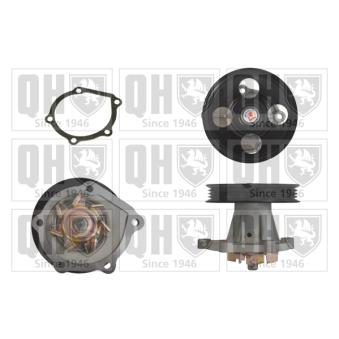 Pompe à eau QUINTON HAZELL QCP3244 pour LAND ROVER FREELANDER 1.4 - 86cv