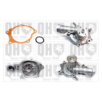 Pompe à eau QUINTON HAZELL QCP3250 pour CITROEN JUMPY 2.0 GLSTD - 90cv