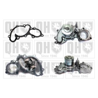 Pompe à eau QUINTON HAZELL OEM 1610069335