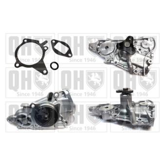 Pompe à eau QUINTON HAZELL OEM ZL0115010 Pompe à eau QUINTON HAZELL OEM ZL0115010