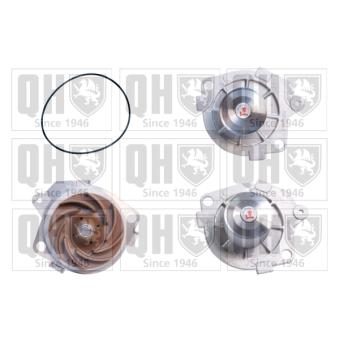 Pompe à eau QUINTON HAZELL OEM 46432248 Pompe à eau QUINTON HAZELL OEM 46432248