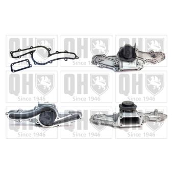 Pompe à eau QUINTON HAZELL QCP3371 pour ALFA ROMEO GTV 3.2 V6 24V - 240cv