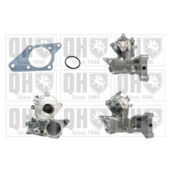 Pompe à eau QUINTON HAZELL OEM 1304596080