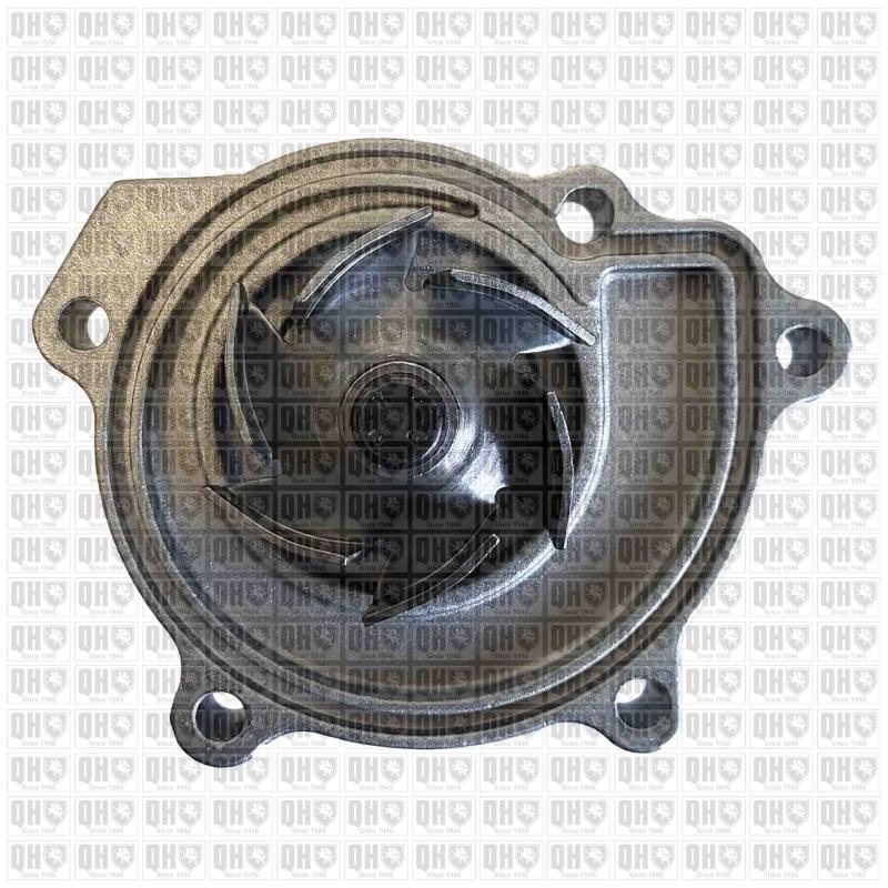 Pompe à eau QUINTON HAZELL QCP3380 - Visuel 1