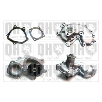 Pompe à eau QUINTON HAZELL OEM 71716877 Pompe à eau QUINTON HAZELL OEM 71716877