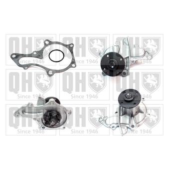 Pompe à eau QUINTON HAZELL OEM 1611019205 Pompe à eau QUINTON HAZELL OEM 1611019205