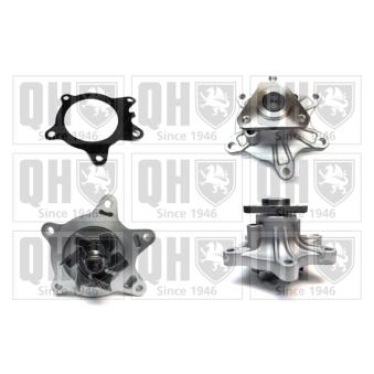 Pompe à eau QUINTON HAZELL OEM 1610029157
