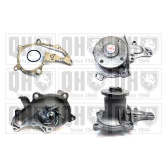 Pompe à eau QUINTON HAZELL QCP3439 pour FIAT 600 1.6 - 110cv