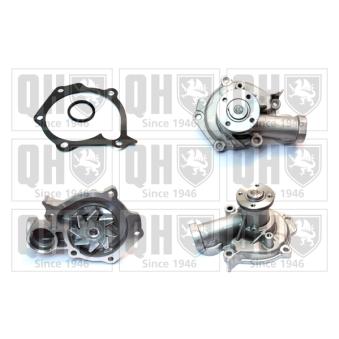 Pompe à eau QUINTON HAZELL OEM 251003B300