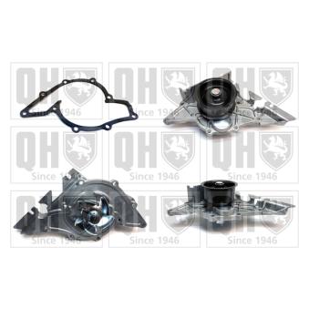 Pompe à eau QUINTON HAZELL OEM 078121006AX Pompe à eau QUINTON HAZELL OEM 078121006AX