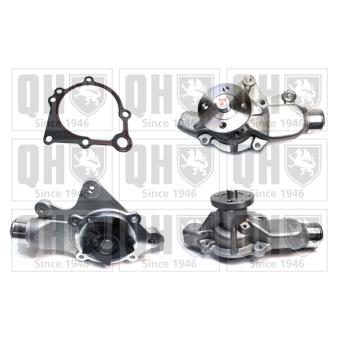 Pompe à eau QUINTON HAZELL OEM 4626054AB