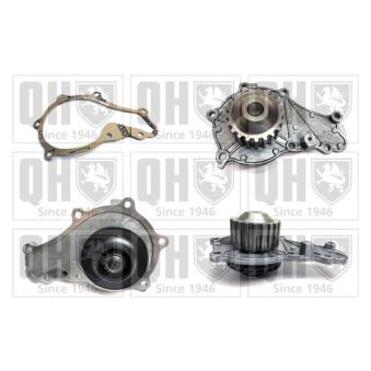 Pompe à eau QUINTON HAZELL OEM 2S6Q8591AC