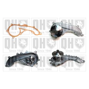 Pompe à eau QUINTON HAZELL OEM 1610079265