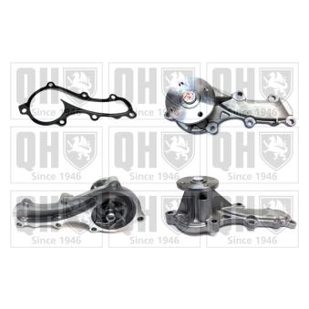 Pompe à eau QUINTON HAZELL OEM 210109F605