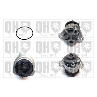 Pompe à eau QUINTON HAZELL OEM 022121011AX Pompe à eau QUINTON HAZELL OEM 022121011AX